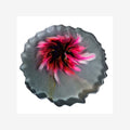Black & Crimson Bloom Resin Tray